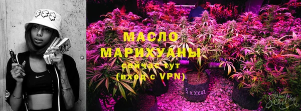 прущий лед Вяземский