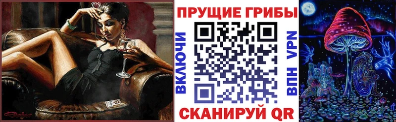сколько стоит  Ивангород  Галлюциногенные грибы Psilocybe 